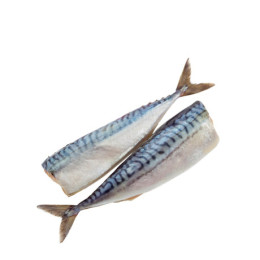 Скумбрія с/м б/г 250+ 